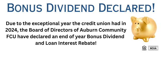 Bonus Dividend